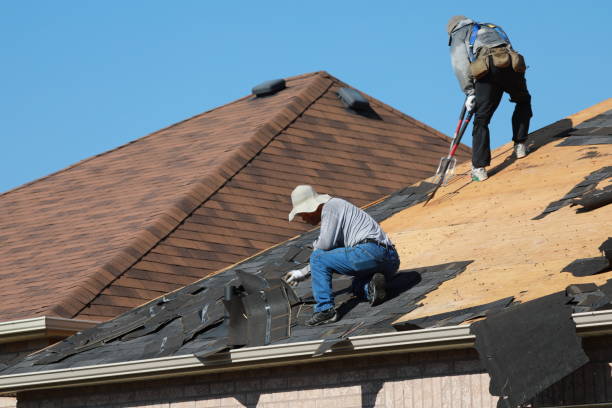 Best Green or Eco-Friendly Roofing Solutions  in West Little River, FL