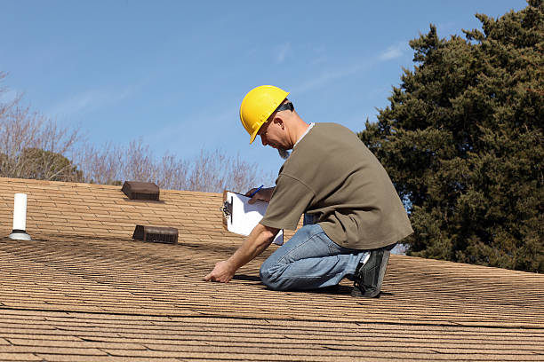 Best Roof Moss and Algae Removal  in West Little River, FL